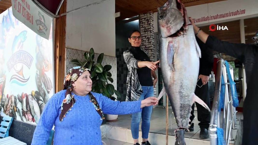 İnsan boyunda dev balık, görenlere küçük dilini yutturdu! O kentte sergileniyor 13